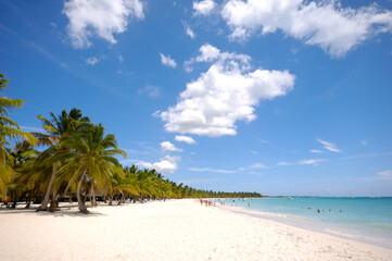 Tropical beach. The Dominican Republic, Saona Island - 513732305