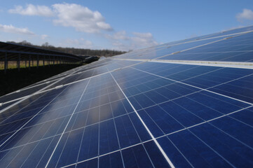 Rows of solar panels - 513732556