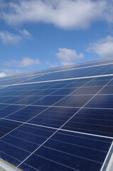 Rows of solar panels - 513732557