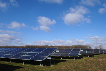 Rows of solar panels - 513732564