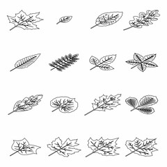 Fototapeta na wymiar Autumn leaves icons set. Isometric set of autumn leaves vector icons thin line outline on white isolated