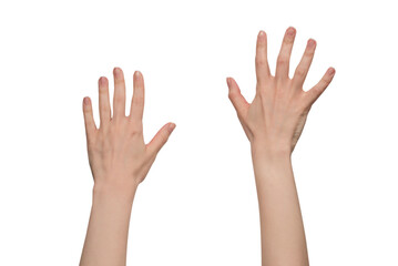 Woman hand isolated on a white background.