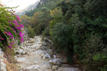 path to the mountain - Lebanon