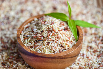 brown rice on wooden bowl and green leaf, raw various rice color mixed thai rice for cooking food , Loonzain rice brown black red white purple health food.