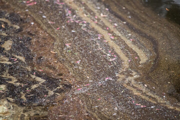 Abstraction in natural stone,