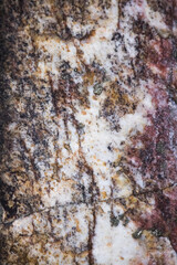 Abstraction in natural stone,