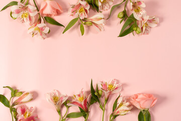 Fototapeta na wymiar Spring beautiful flowers on pink background.