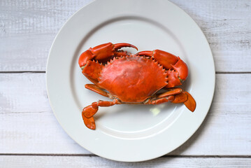 fresh crab on white plate background, seafood crab cooking food boiled or steamed crab red in the seafood restaurant - top view