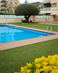 Vertical shot of bright blue swimming pool clean water and green fresh lawn, yellow plants and big...