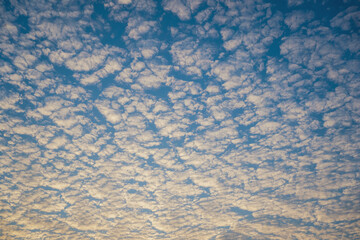 Cirrocumulus colorful cloud in blue sky on sunny day