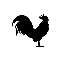 rooster isolated on white