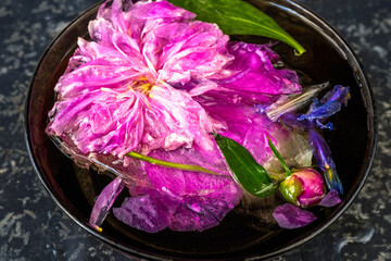 Obraz na płótnie Canvas Bowl with frozen flower (peony and iris) in ice cube on black.