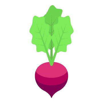 purple beet with green leaves clip art preview