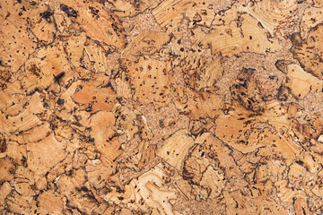Cork wood texture background. Top view.