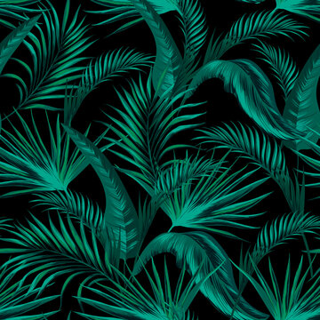 	
Green tropical palm leaves seamless vector pattern on the black background.Trendy summer print.	
