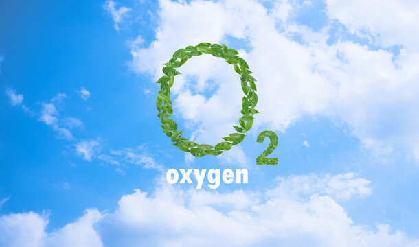 O2 - oxygen design with green leaves on blue sky background.