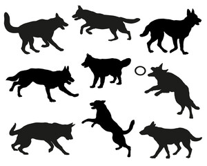 Group of german shepherd dogs. Black dog silhouette. Running, standing, walking, playing, jumping dogs. Isolated on a white background. Pet animals. Vector illustration.