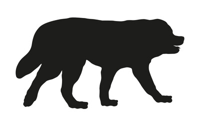 Obraz na płótnie Canvas Walking moscow watchdog puppy. Moskovskaya storozhevaya sobaka. Black dog silhouette. Pet animals. Isolated on a white background. Vector illustration.