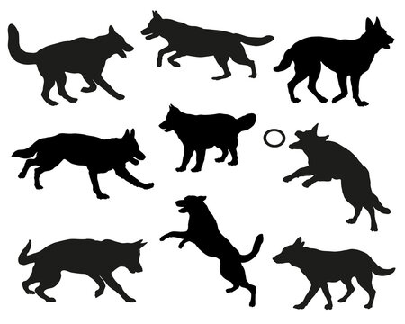 Group Of German Shepherd Dogs. Black Dog Silhouette. Running, Standing, Walking, Playing, Jumping Dogs. Isolated On A White Background. Pet Animals. Vector Illustration.