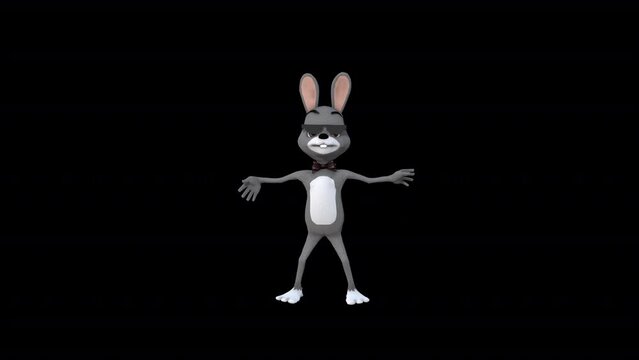 Cartoon Gray Rabbitt Dance 9, Animation.1920X1080.13 Second Long.Transparent Alpha video