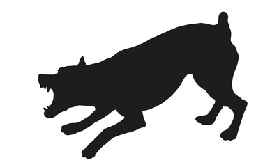 Agressive and angry zwergpinscher puppy. Dangerous miniature pinscher or min pin,. Black dog silhouette. Pet animals. Isolated on a white background. Vector illustration.