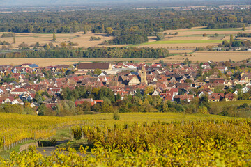 Obraz premium Eguisheim village from across vineyard, France