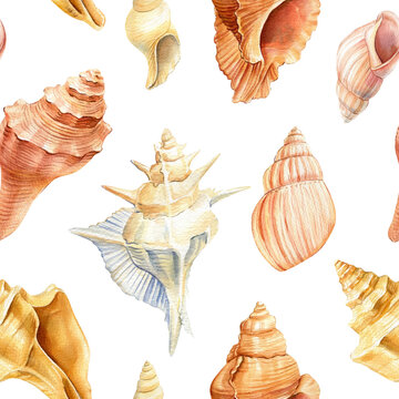 Watercolor Seamless pattern with seashells, hand drawn vintage sea background for wallpaper