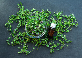 herbs in a bottle, leaves, sprigs and flowers of thyme on a black background, in glassware, oil,...