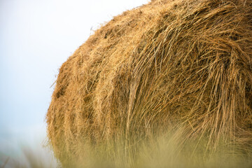 Haystack on the field. Harvest concept, copy space