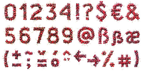 Cherry alphabet. Real berries in the form of letters, numbers and signs. Set for the designer to type any text. Special signs.