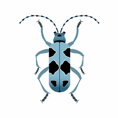 Colorful Alpine longhorn beetle Icon in flat design.