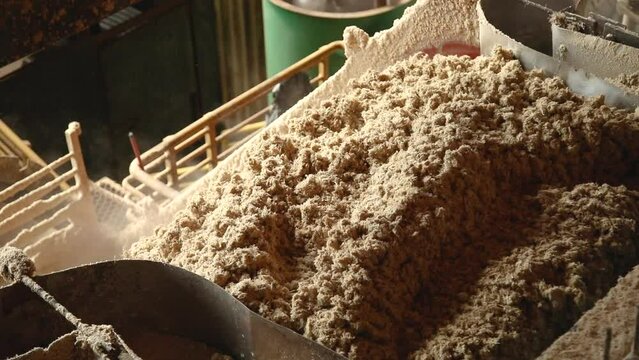 mill processing sugar cane industry