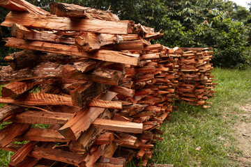 Firewood extracted from the Amazon forests, a practice that has been carried out for generations