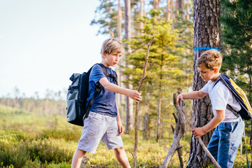 Children on a beautiful forest nature building homemade driftwood teepee building a fire together. Friends together at summer vacation. © Iryna
