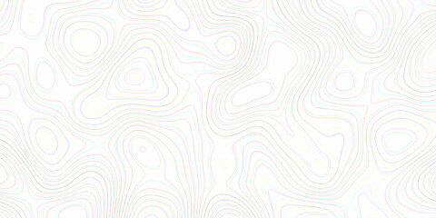 Topographic background and texture, monochrome image. 3D waves. Cartography Background, White wave paper curved reliefs abstract background