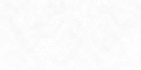 Topographic background and texture, monochrome image. 3D waves. Cartography Background, White wave paper curved reliefs abstract background