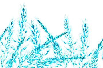 Grass Seamless Watercolor Pattern. Plantago and Apera Dried Wild Plants. Botanical border. Abstract Floral Illustration. Summer Grass Motif. Vintage Garden Wallpapaer.