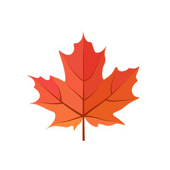 Maple tree red leaf cartoon vector illustration on white background. Canada flag red leaf isolated illustration.