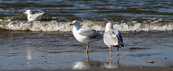 Abends am Strand