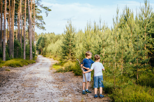 Summer activity for inquisitive children. Siblings Walking In Forest