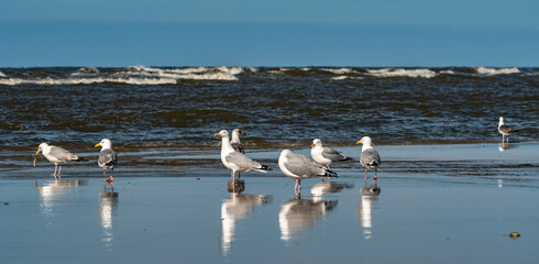 Abends am Strand