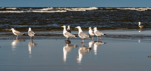 Abends am Strand
