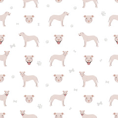 American pit bull terrier dogs seamless pattern. Color varieties, infographic
