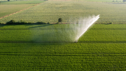 Aerial view by a drone of a potato field being irrigated by a gigantic and powerful irrigation...