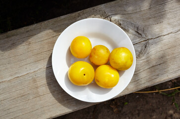 Ripe yellow plums on plate. Juicy fruit on wooden background, closeup. Fresh plum, vegetarian food. Harvest concept, top view