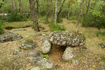 Dolmen de Cornudella.(Dolmen de la cabaneta del tancat de dallt)Bosque de Transás.Pirineo...