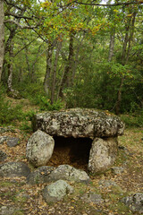 Dolmen de Cornudella.(Dolmen de la cabaneta del tancat de dallt)Bosque de Transás.Pirineo...