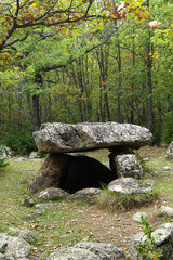 Dolmen de Cornudella.(Dolmen de la cabaneta del Forno)Bosque de Transás.Pirineo Aragones.Huesca.España. © Tolo