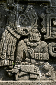 Bajorrelieves en la piramide de la serpiente enplumada(piramide de Quetzalc&oacute;atl).Yacimiento  de Xochicalco. Estado de Morelos.Mexico.