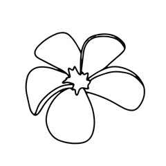 Tropical flower vector doodle illustration
